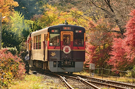 横浜発 【トロッコ列車プラン】あしかがフラワーパークイルミネーション 紅葉のわたらせ渓谷鐡道2つの感動美景 日帰り3